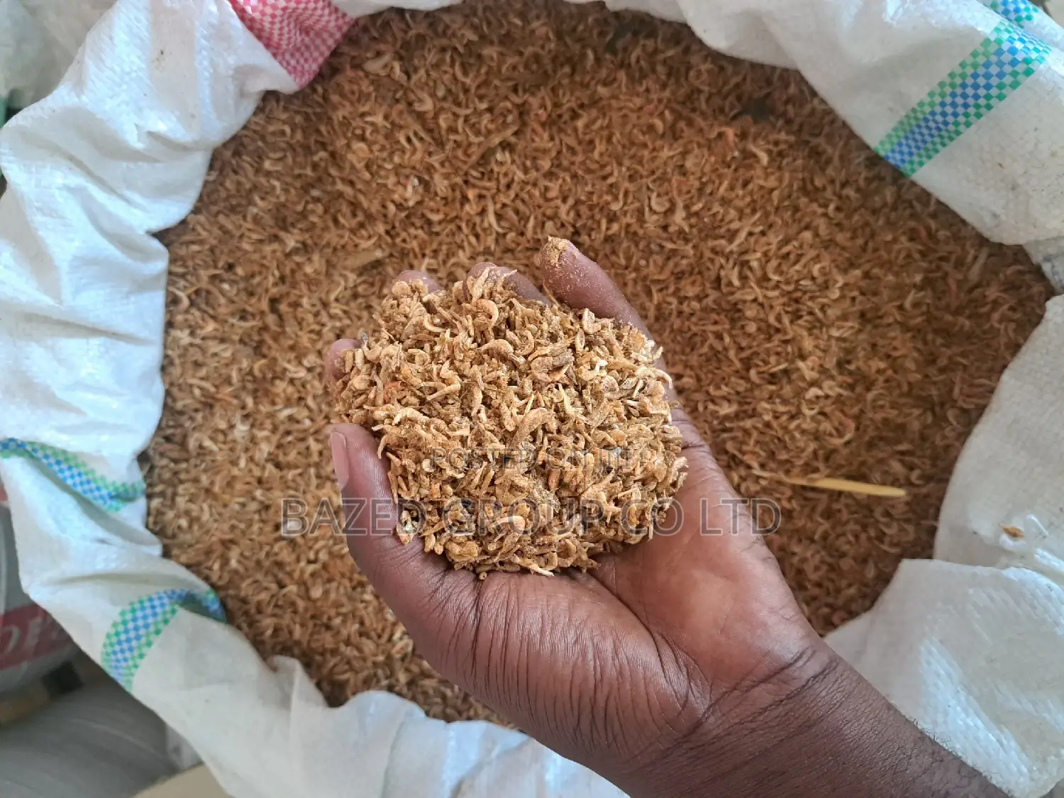 Uduvi Safi Kwa Mifugo