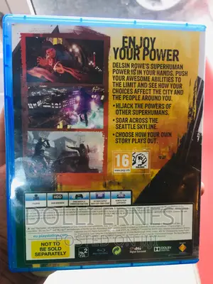 Infamous Second Son