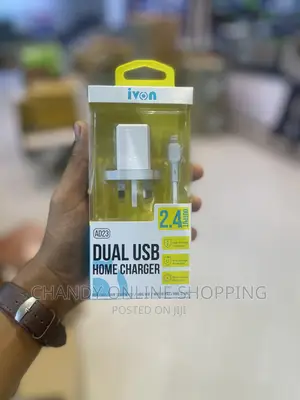 Original iPhone Charger