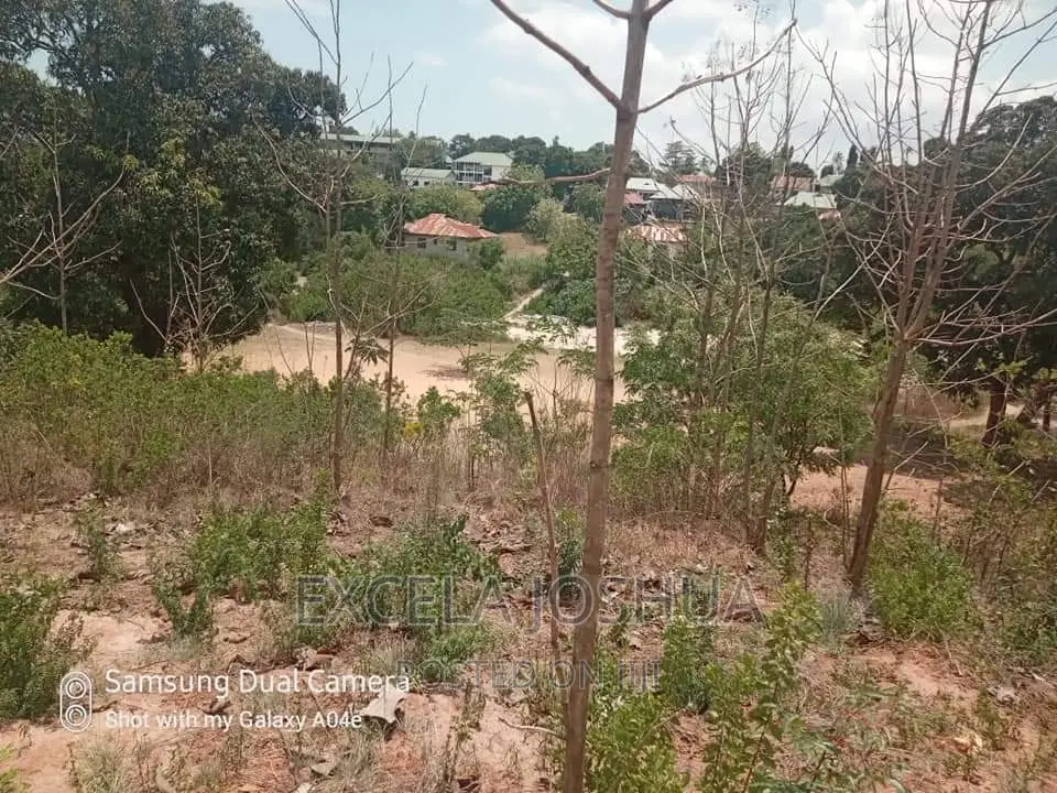 Viwanja Vitatu Viko Sehemu Moja Vinauzwa Kinyerezi Mbuyuni