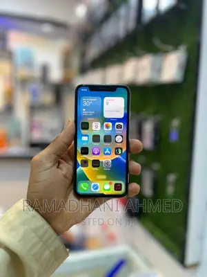 Apple iPhone X 256 GB Silver