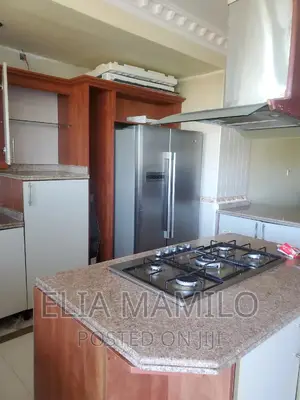 Furnished 2bdrm Apartment in Masaki for rent