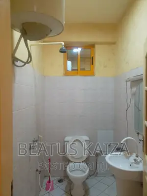1bdrm Apartment in Kariakoo Msimbazi for rent