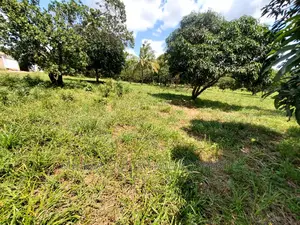 Kiwanja Kinauzwa Madale
