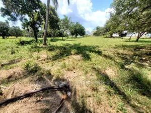 Kiwanja Kinauzwa Madale
