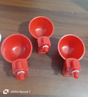 Cup Nipple (Vinyweshea Kuku Maji)