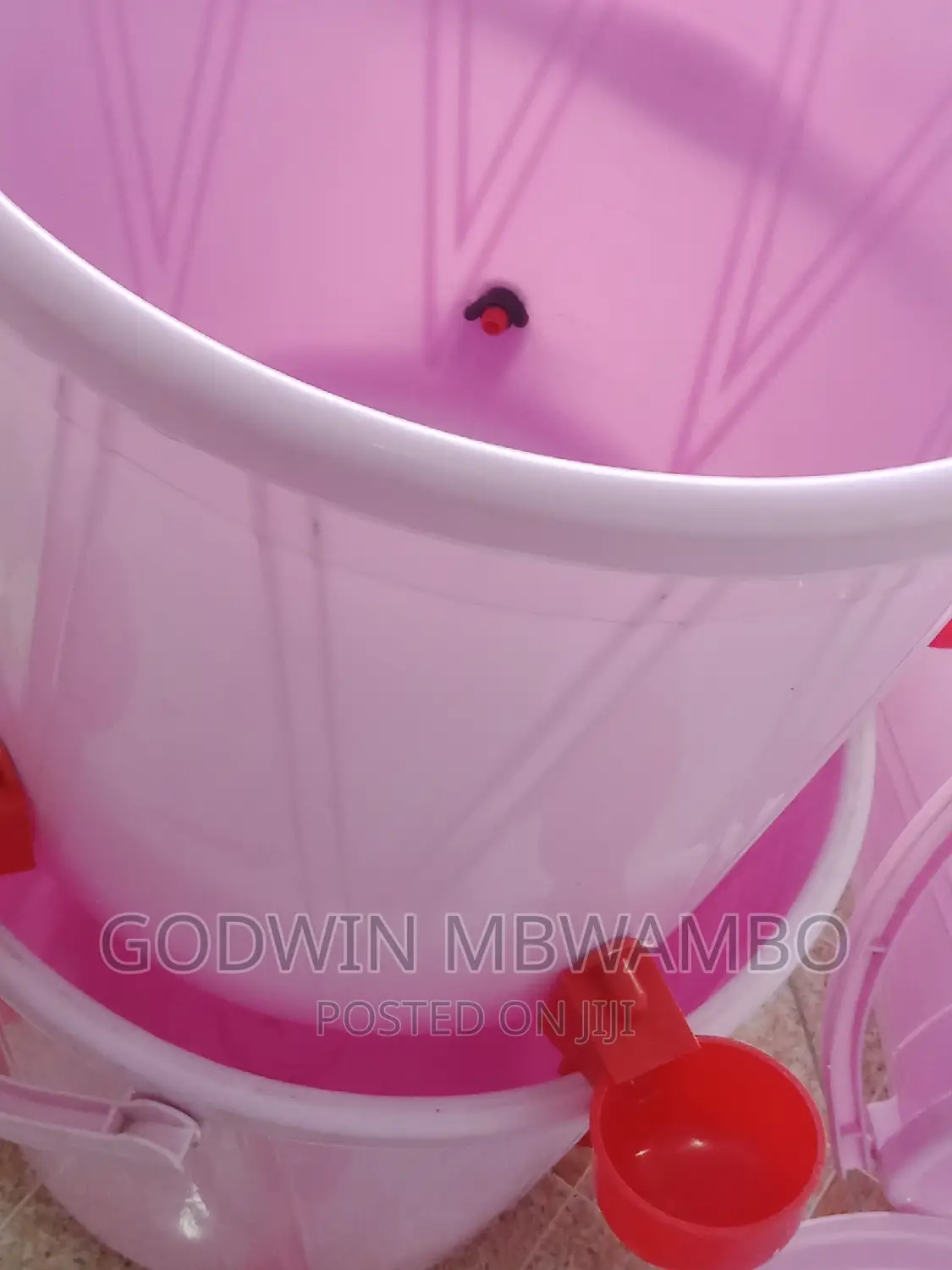 Cup Nipple (Vinyweshea Kuku Maji)