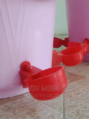 Cup Nipple (Vinyweshea Kuku Maji)
