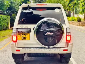 Toyota Land Cruiser 2002 Silver