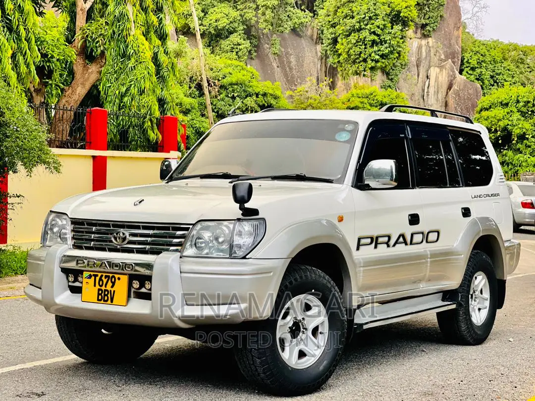 Toyota Land Cruiser 2002 Silver