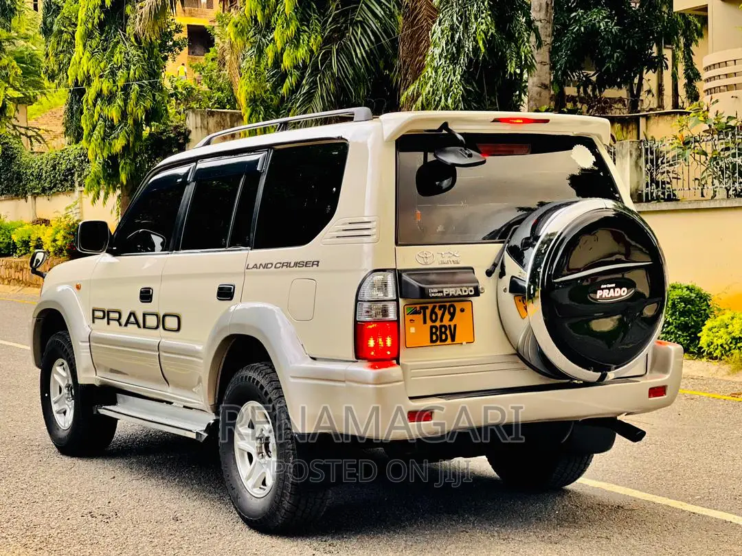 Toyota Land Cruiser 2002 Silver