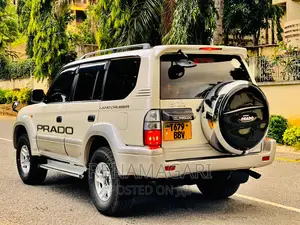 Toyota Land Cruiser 2002 Silver