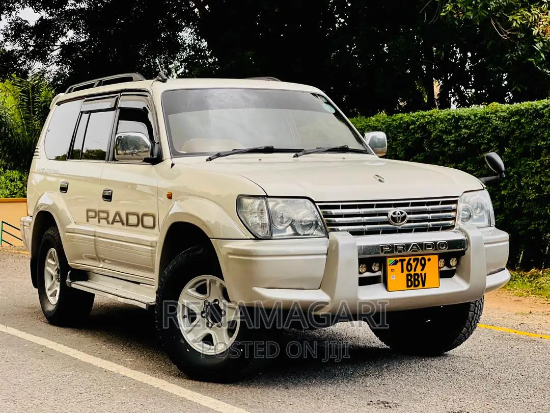 Toyota Land Cruiser 2002 Silver