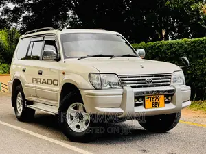 Toyota Land Cruiser 2002 Silver