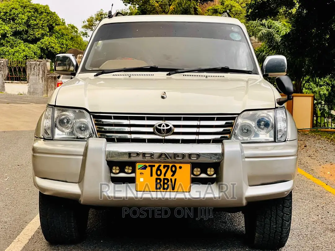 Toyota Land Cruiser 2002 Silver