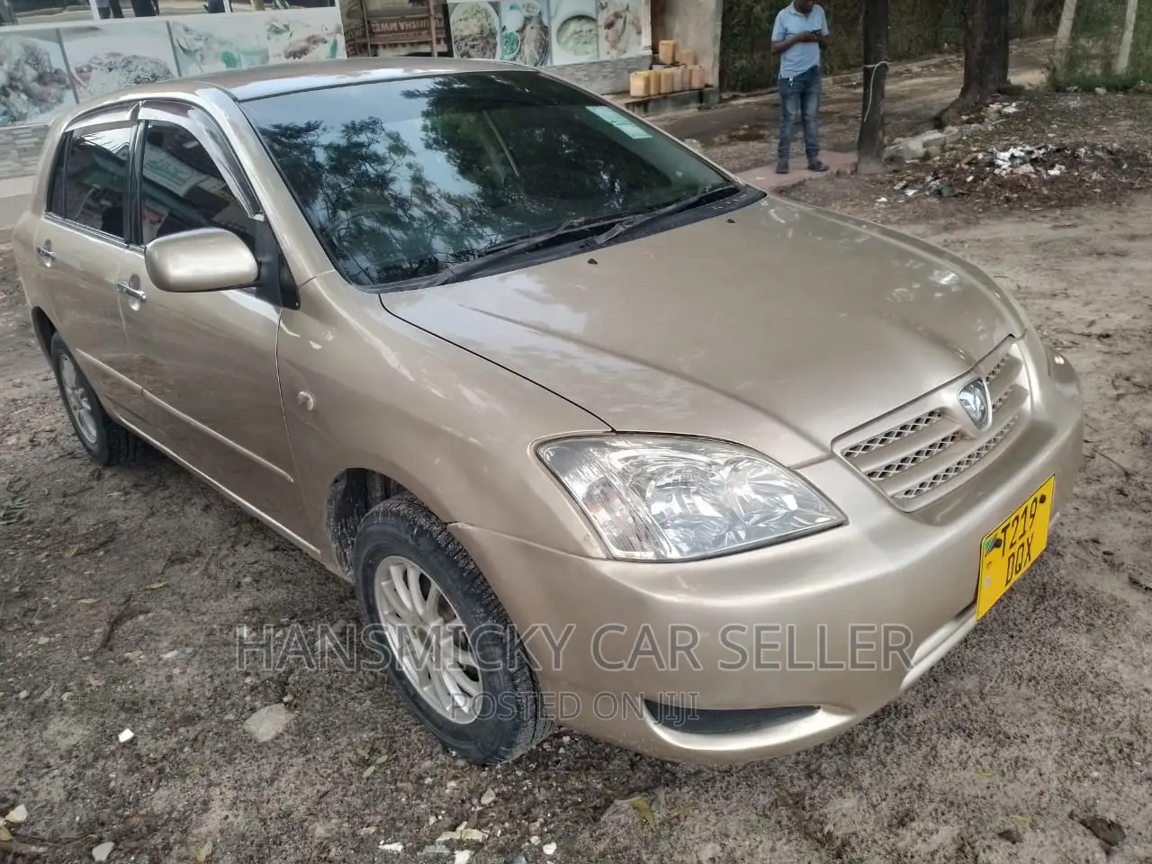 Toyota Allex 2003 Gold