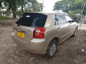 Toyota Allex 2003 Gold