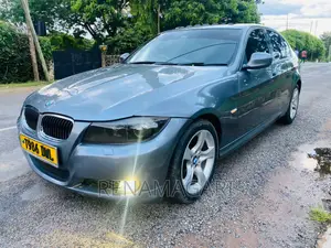 BMW 3 Series 2010 Gray