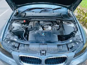 BMW 3 Series 2010 Gray