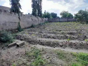 Kiwanja Chenye Fence