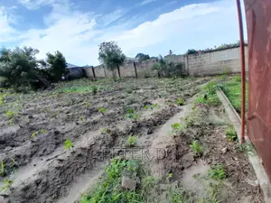Kiwanja Chenye Fence