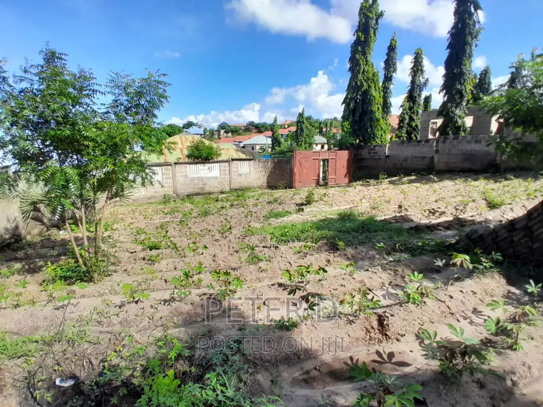 Kiwanja Chenye Fence