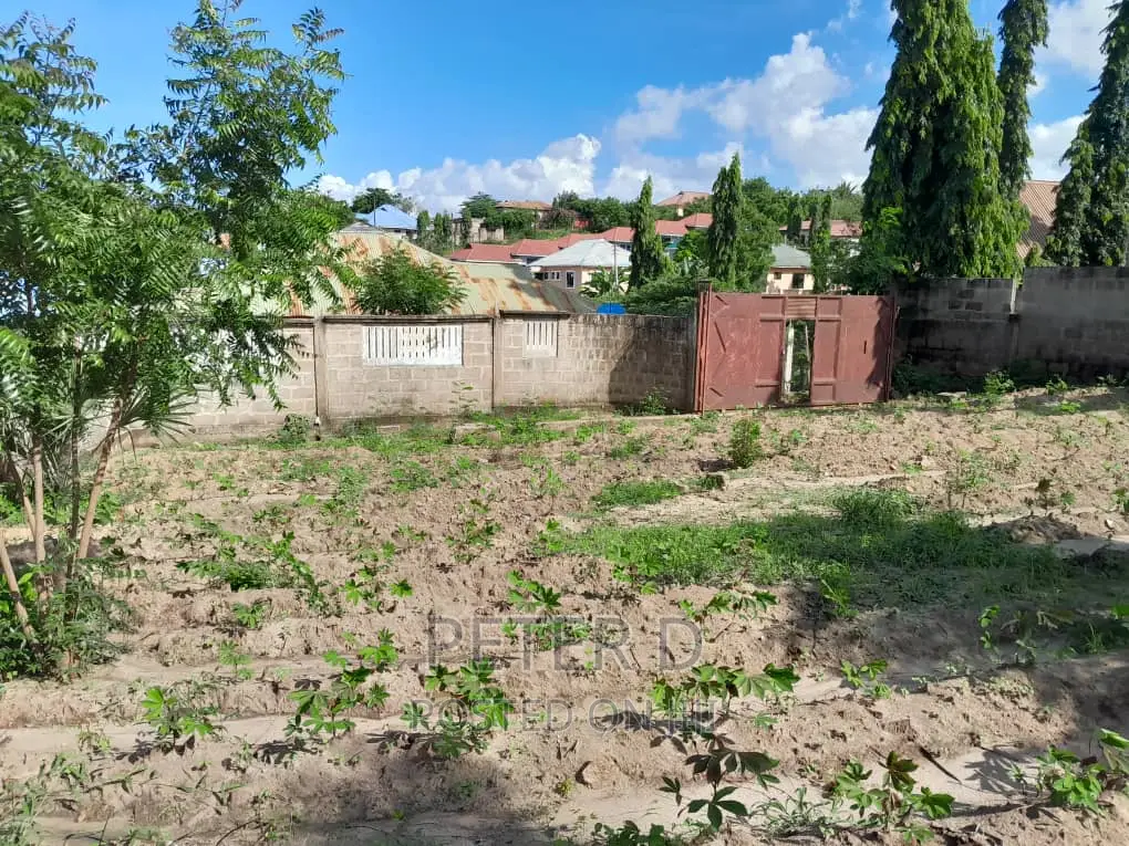 Kiwanja Chenye Fence