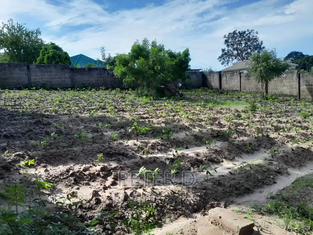 Kiwanja Chenye Fence
