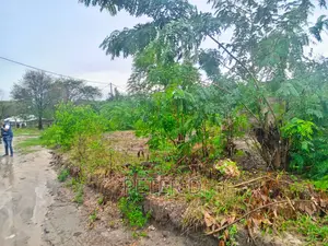 Kiwanja Kibamba Shule