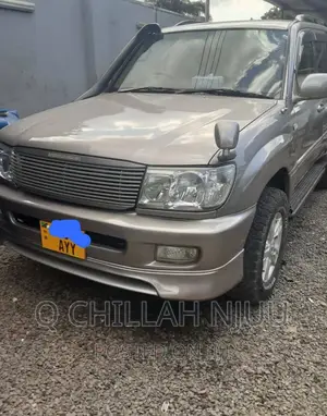 Toyota Land Cruiser 2002 Silver