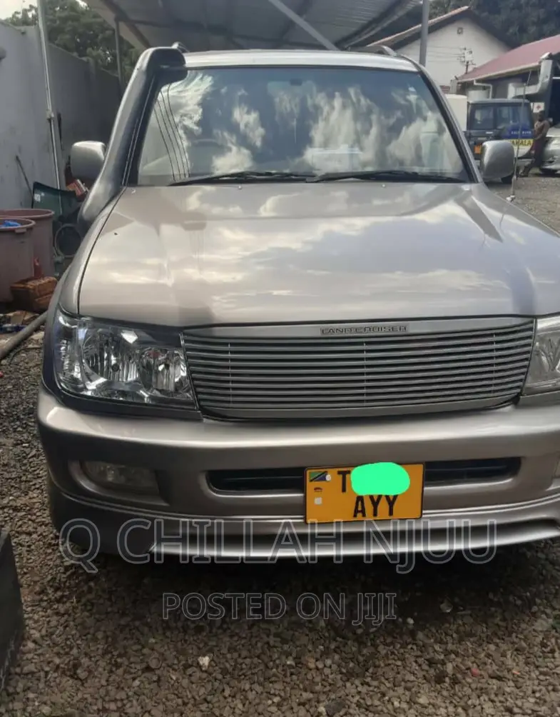 Toyota Land Cruiser 2002 Silver
