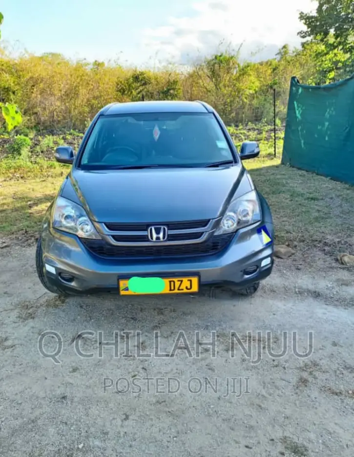 Honda CR-V 2004 Gray