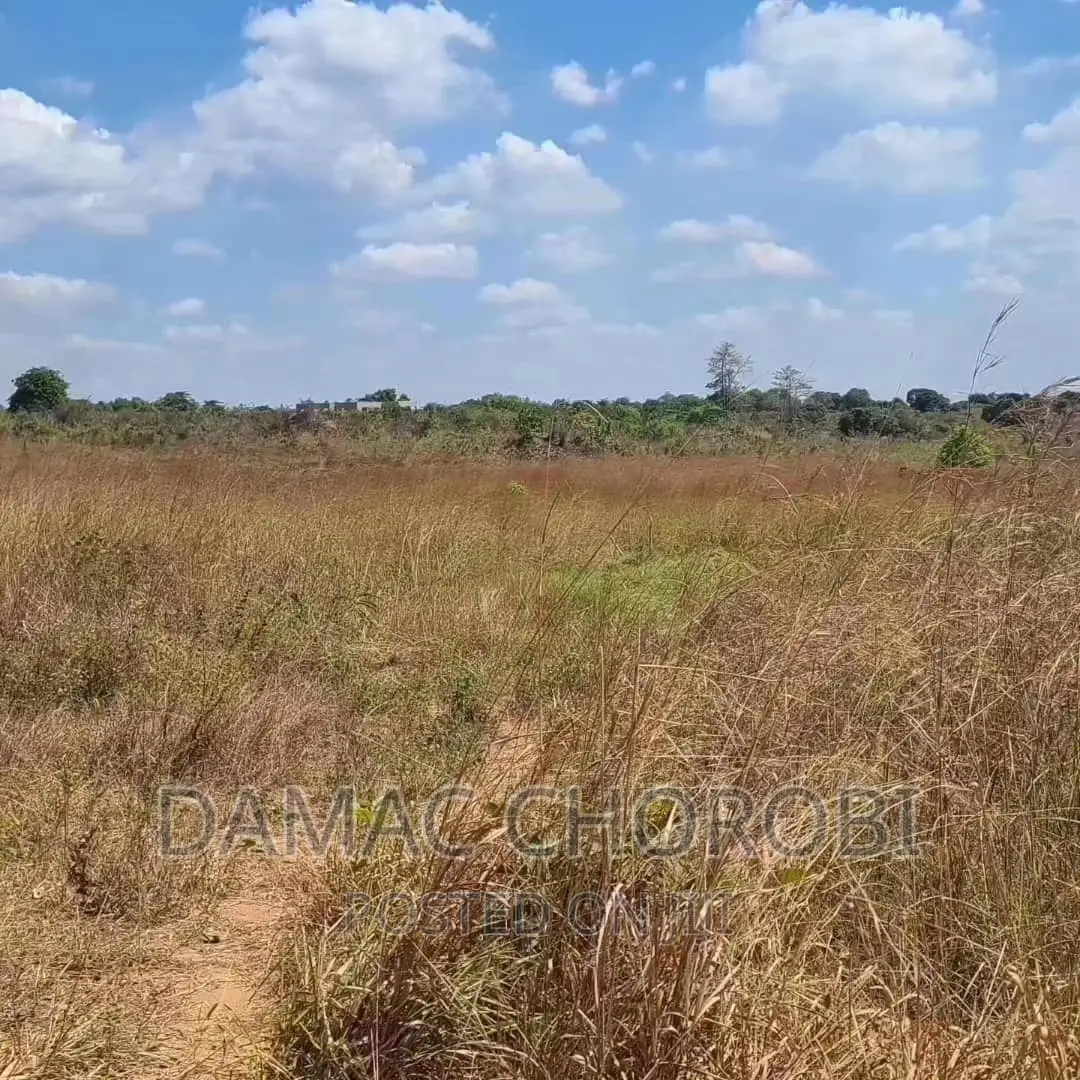 Viwanja Bora Kabisa Vigwanza Mjini