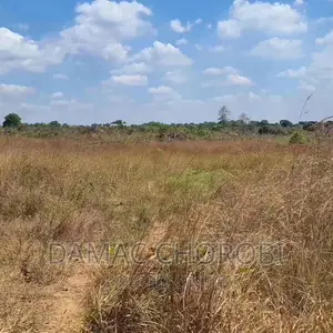Viwanja Bora Kabisa Vigwanza Mjini