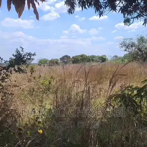 Acre Moja Kiwanja Bora Kwa Makazi