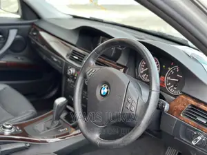 BMW 3 Series 2010 Silver