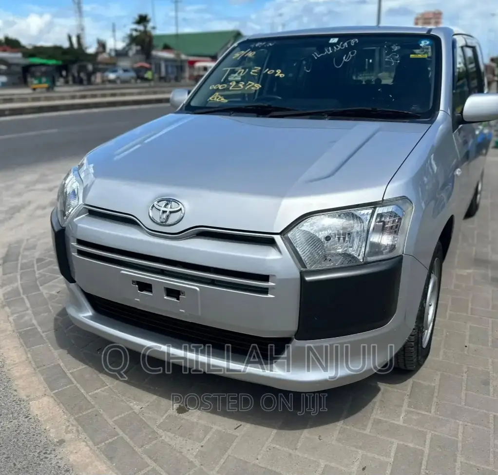 Toyota Probox 2015 Silver