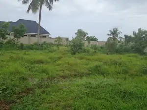 Big Plot for Sale at Goba