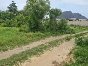 Big Plot for Sale at Goba