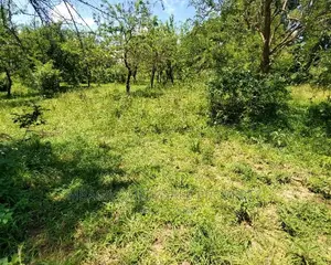Plot for Sale at Goba Kulangwa