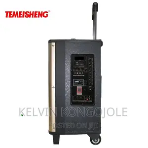 Temeisheng 12 Inch Wooden High Power Loudspeaker.