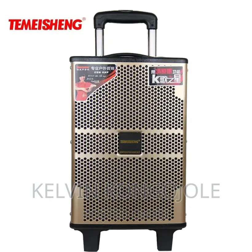 Temeisheng 12 Inch Wooden High Power Loudspeaker.