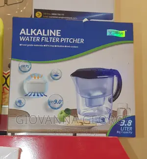 Water Filter