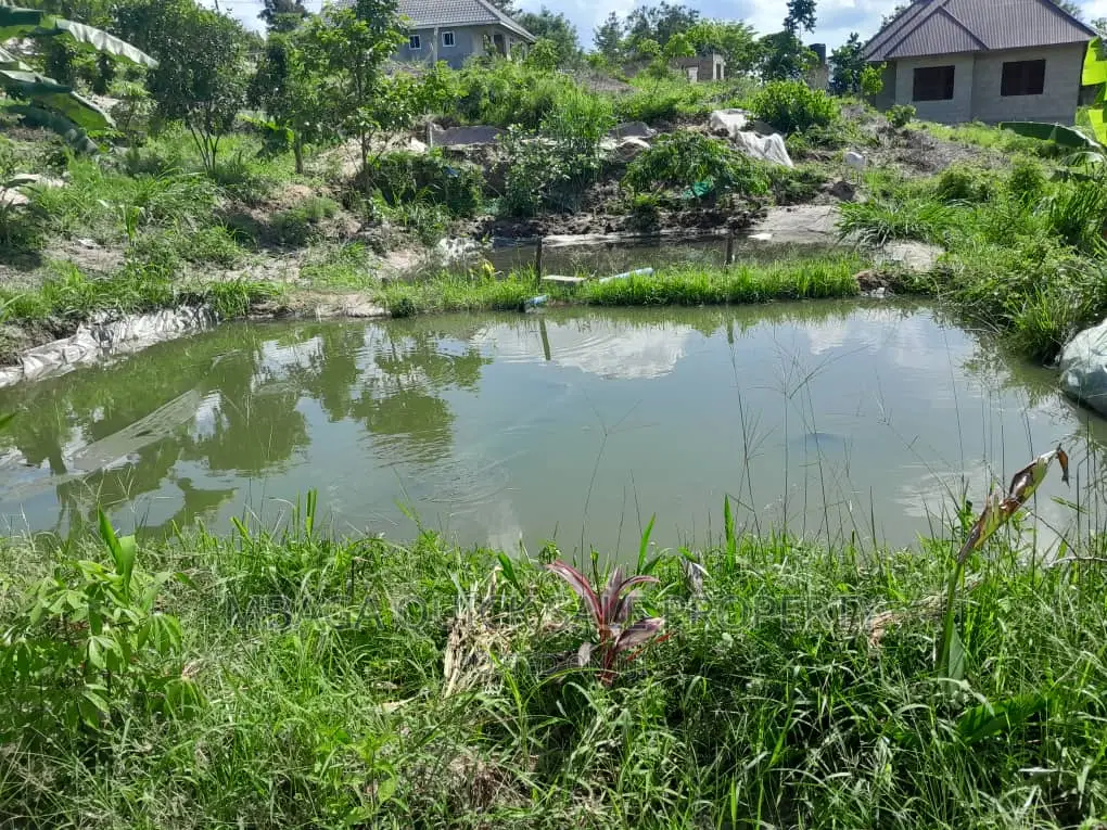 Farm for Sale at Kibamba Kibwerege