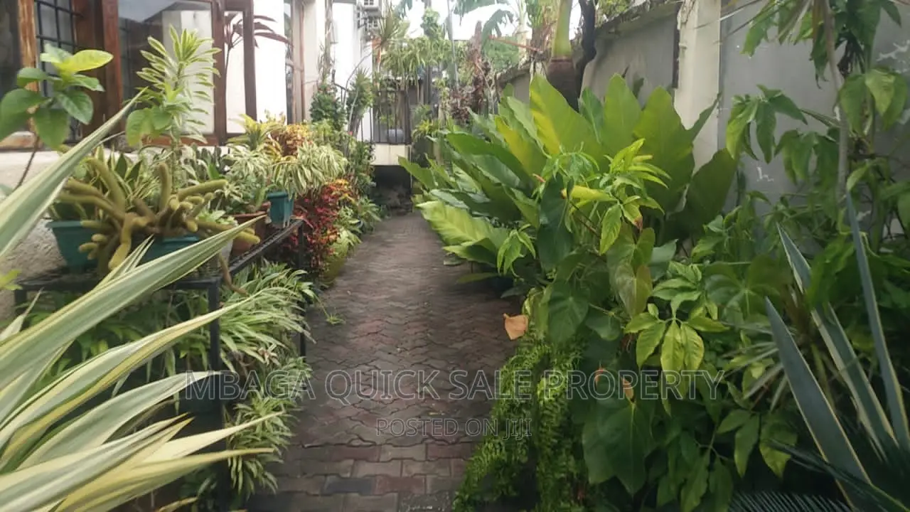 Furnished 1bdrm House in Mikocheni for rent