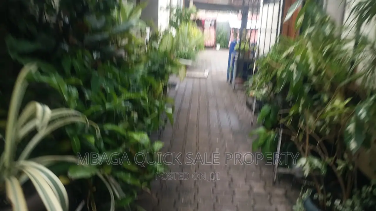 Furnished 1bdrm House in Mikocheni for rent