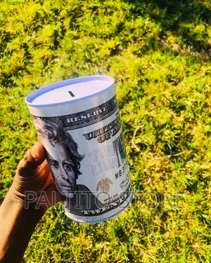 Kibubu (Money Saving Steel Can )