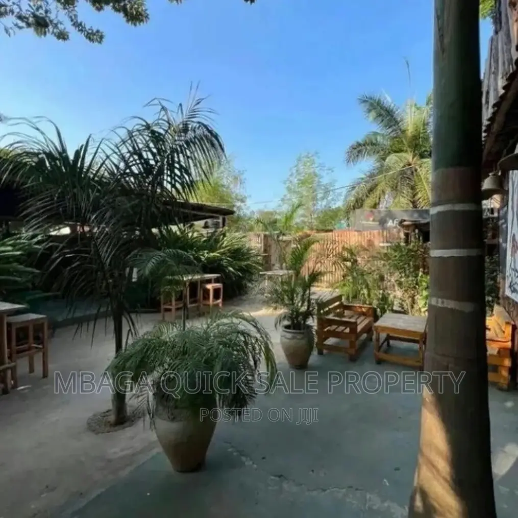 Bar and Restaurants for Rent Near Coco Beach Oyster Bay