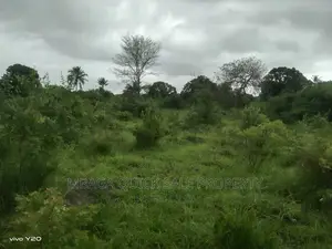Photo - Plot Inauzwa Ipo Kilomo Bagamoyo Rd