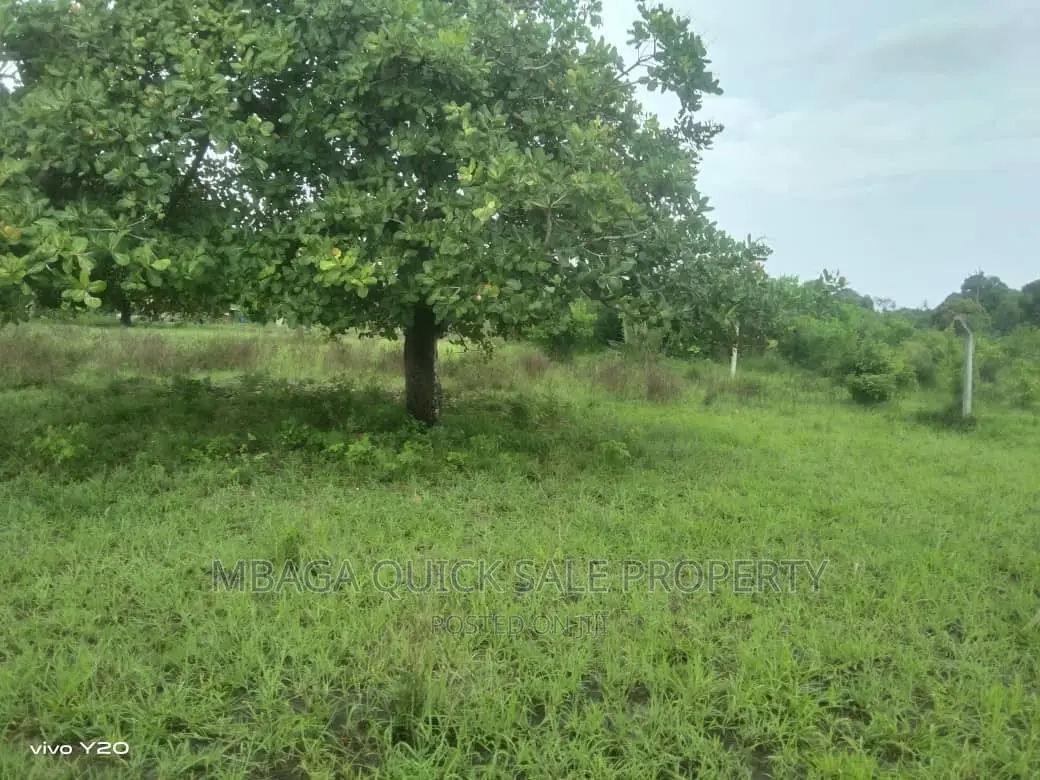 Plot Inauzwa Ipo Kilomo Bagamoyo Rd
